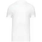 Kariban Men's V-Neck T-Shirt
