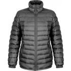 Ladies Ice Bird Padded Jacket