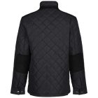 Regatta kabát Padbury Insulated fekete