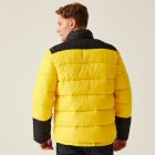 Regatta dzseki Vintage Puffer solar-fekete