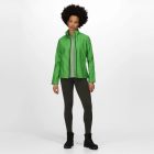 Regatta softshell női dzseki Ablaze 265 zöld-fekete