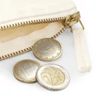 Westford Mill EarthAware™ Organic Spring Purse